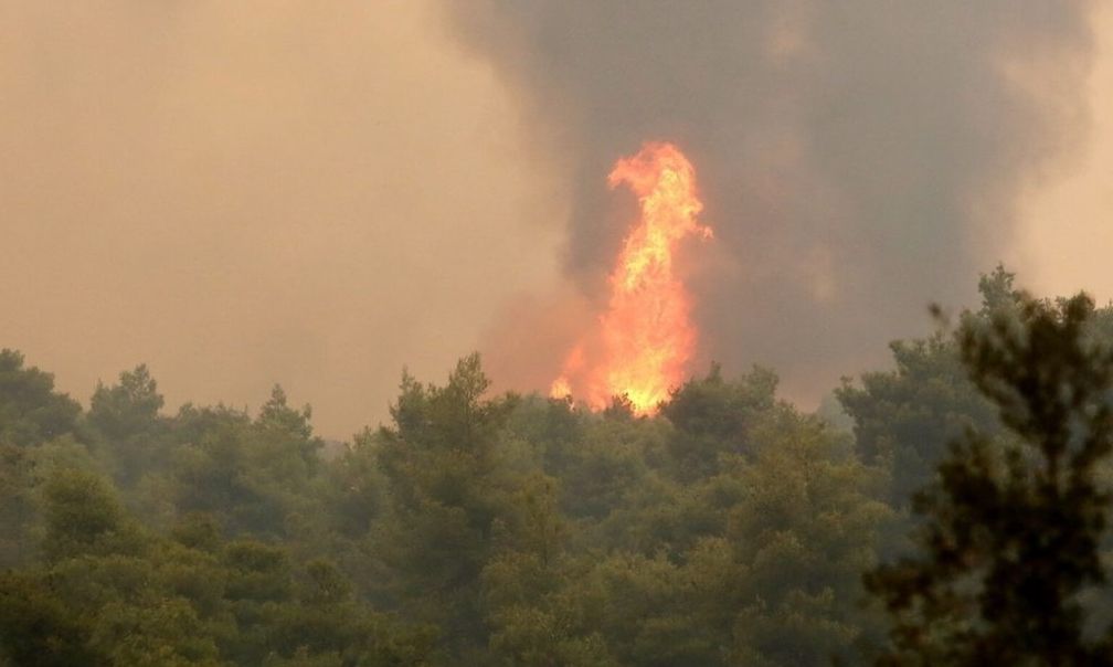 Ξέσπασε πυρκαγιά στον Αλίαρτο – Κάηκαν στρέμματα δάσους