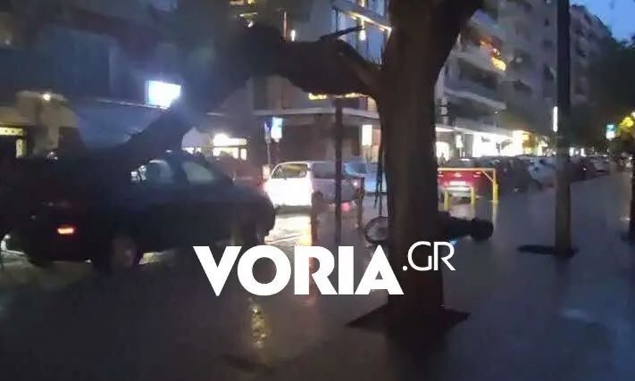 Κακοκαιρία Bora: Πτώσεις δέντρων και φθορές σε ΙΧ από ισχυρούς ανέμους στη Θεσσαλονίκη