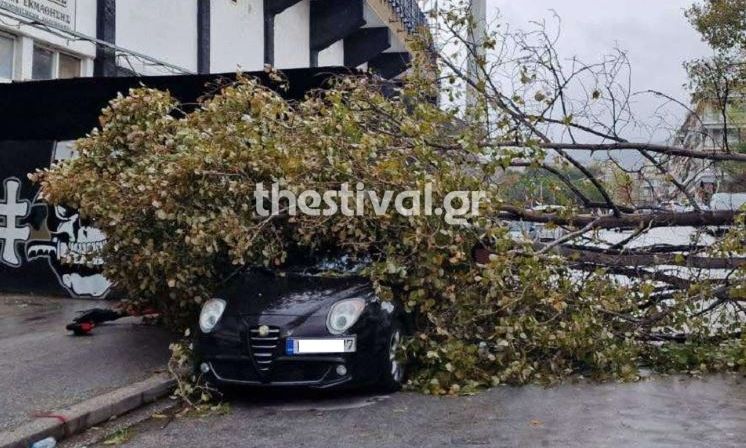 Κακοκαιρία «Bora»: Η στιγμή που δέντρο πέφτει πάνω σε αυτοκίνητα έξω από το γήπεδο της Τούμπας