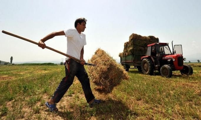OΠΕΚΕΠΕ: «Ζεστό» χρήμα σε χιλιάδες αγρότες – Πότε θα καταβληθούν πάνω από 190.000.000 ευρώ