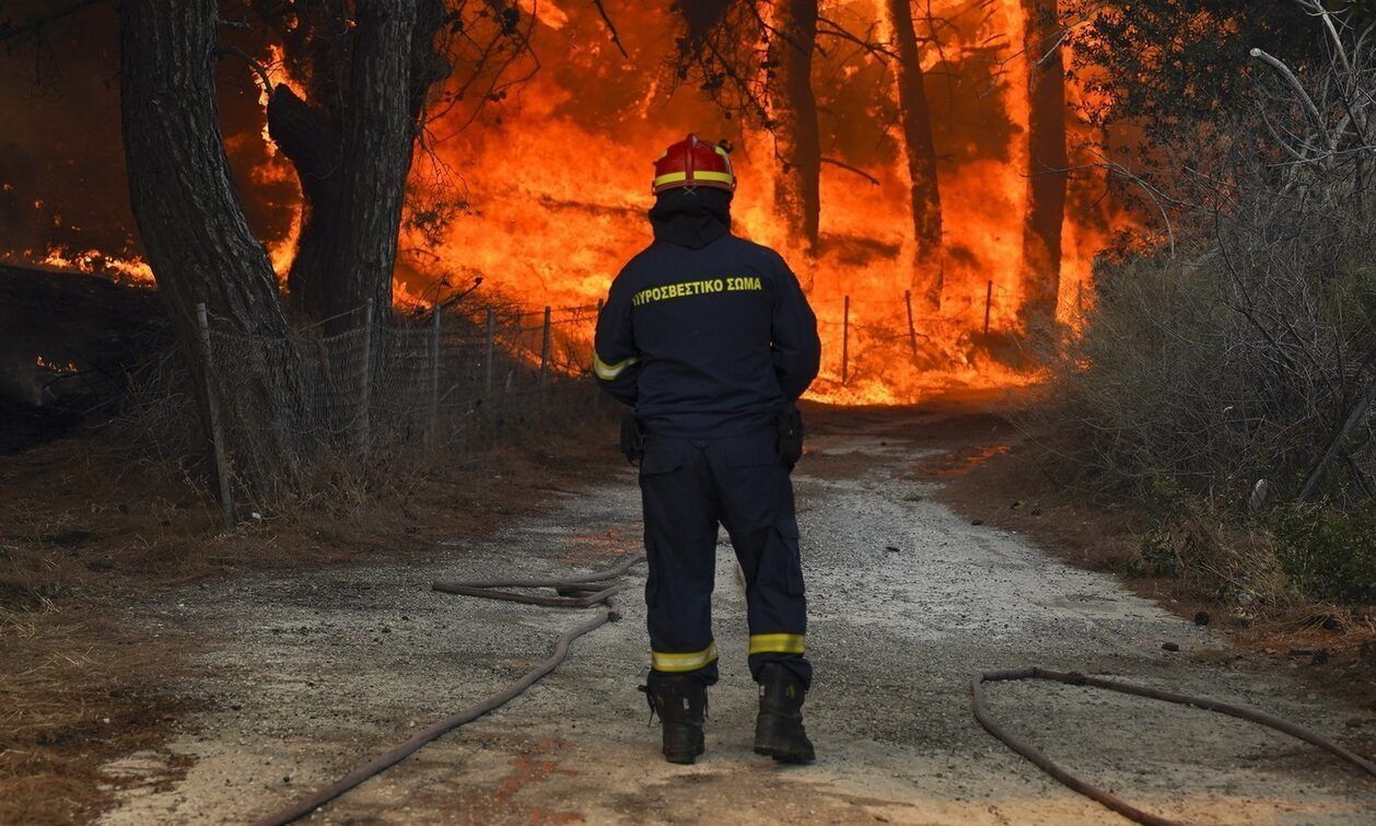 WWF και Εθνικό Αστεροσκοπείο «δίνουν τα χέρια» για τις δασικές πυρκαγιές
