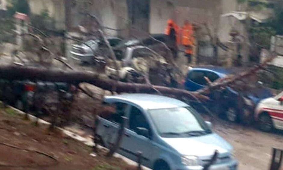 Ηλιούπολη: Δέντρα έπεσαν από το μπουρίνι της κακοκαιρίας Elena – Καταπλακώθηκαν αυτοκίνητα