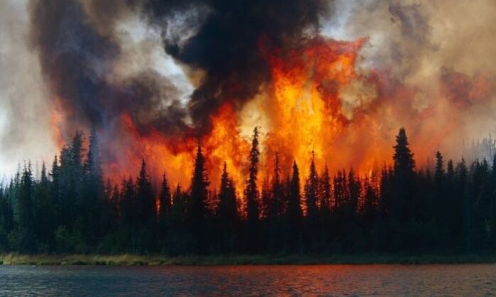 1614427-7f2c161b-arctic-is-about-to-burn-750x422.jpg