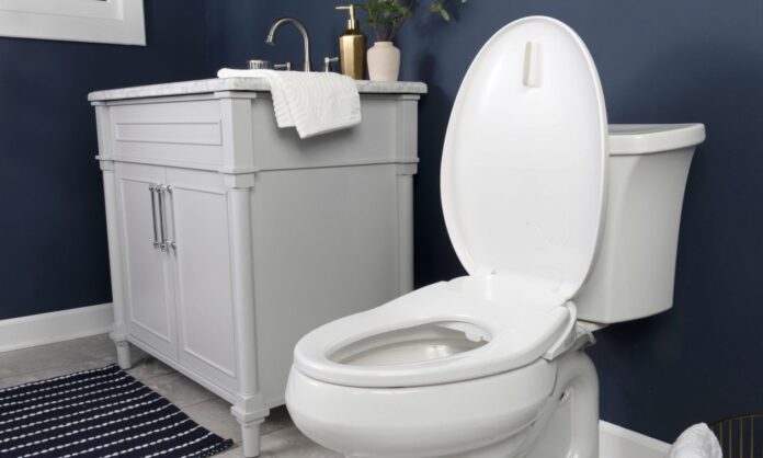 1614532-fd7eeed4-toilet1.jpg