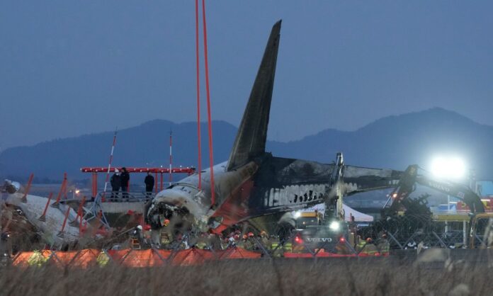 1614666-c0c62b3f-1735478373845-828377778-notia-korea.jpg