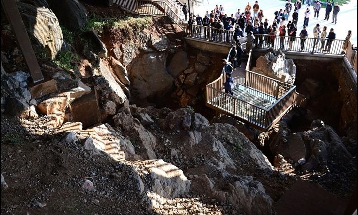 Κίνα: Σημαντική ανακάλυψη – Το μικρότερο απολίθωμα γάτας ηλικίας 300.000 ετών