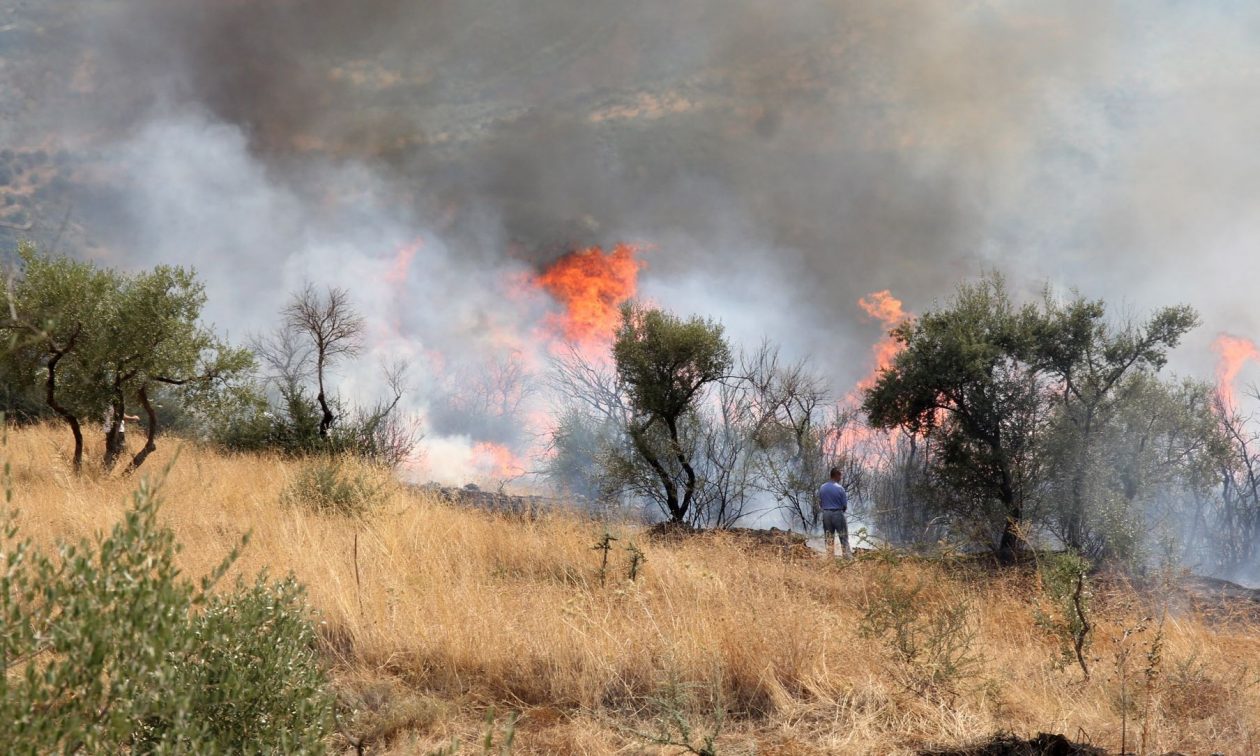 Φωτιά στα Βέρια της Σπάρτης – Συναγερμός στην Πυροσβεστική