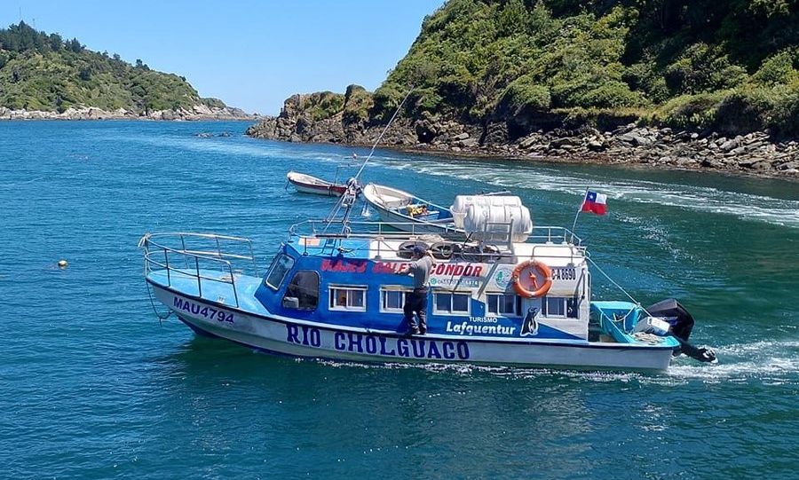 Χιλή: Τουλάχιστον έξι νεκροί σε ναυάγιο τουριστικού σκάφους