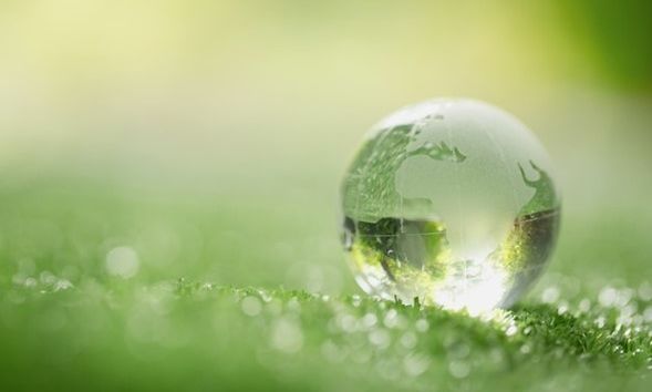 “Βιώσιμη και Καινοτόμος Ανάπτυξη: Η Bayer εστιάζει σε ένα Μέλλον με Υγεία και Τροφή  για Όλους”