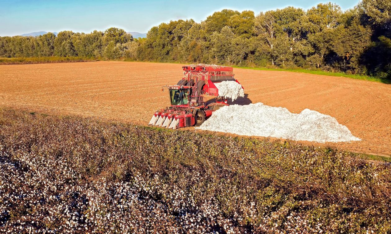 Εντός Φεβρουαρίου η ρύθμιση για τα «κόκκινα» αγροτικά δάνεια