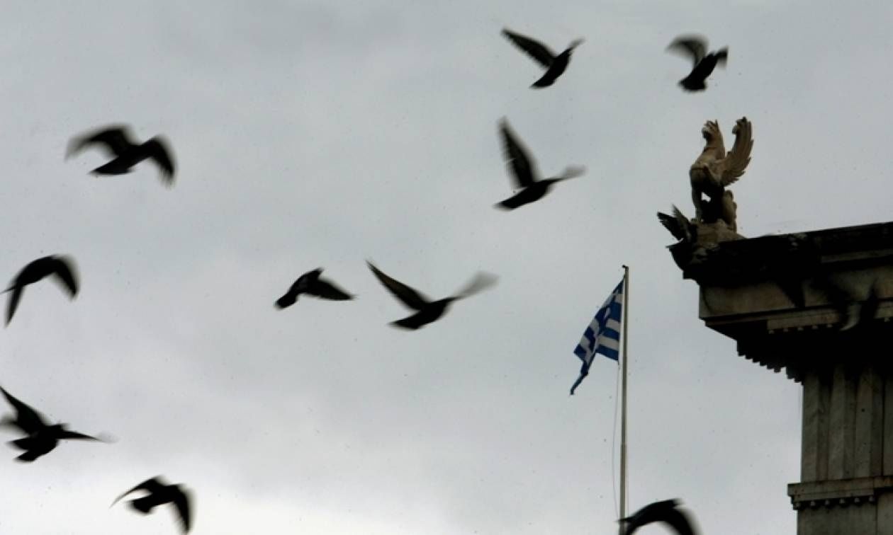 Σπόροι και σπόροι, αλλά όχι ψωμί: Πώς να ταΐζετε τα πουλιά σωστά