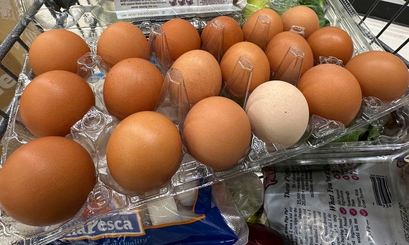 Πότε χαλάνε τα αυγά στο ψυγείο – Πώς θα διαπιστώσετε αν είναι φρέσκα