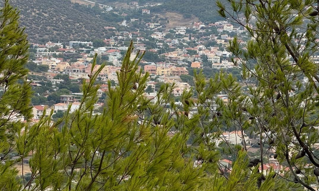 Σκυλακάκης: Η κυβέρνηση είναι αποφασισμένη να θέσει τέλος στη νέα, αυθαίρετη δόμηση
