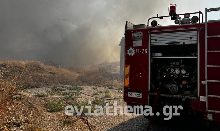 Εύβοια: Φωτιά σε δύσβατη περιοχή στην Πλατάνα