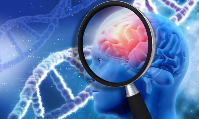1634431-b0be1e26-egefalos-alzheimer.jpg