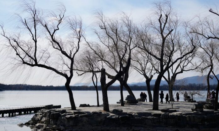 1636234-6cf4ced8-trees.jpg