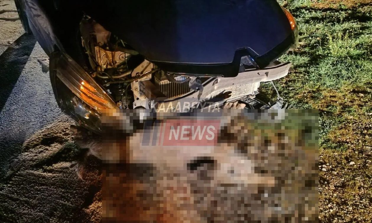 Καλάβρυτα: Σοβαρό τροχαίο με αγριογούρουνο – Καταστράφηκε το αυτοκίνητο