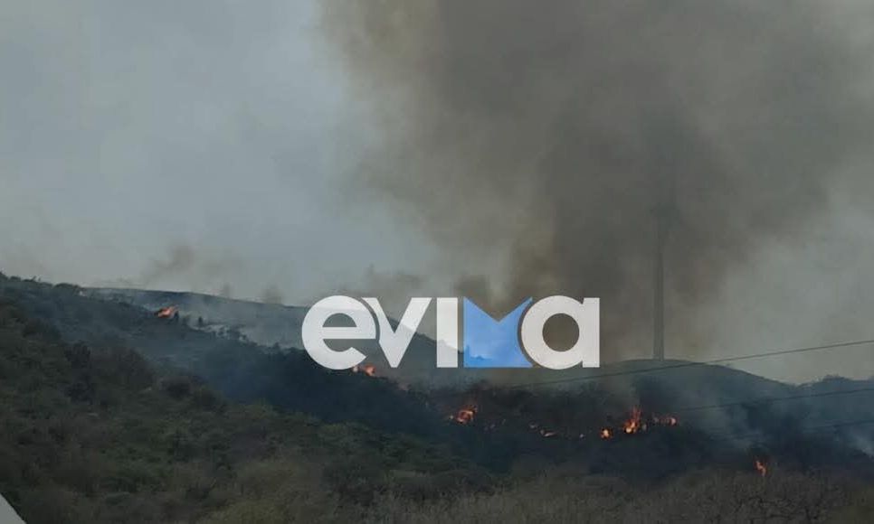 Φωτιά στην Εύβοια: Σε ύφεση το μέτωπο στους Καλλιανούς Καρύστου