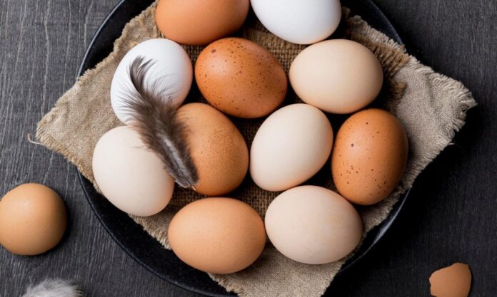 1636819-c1fc4b25-eggs22.jpg