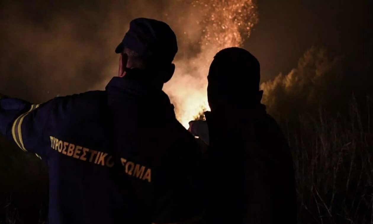 Δασική πυρκαγιά στο Βελανίδι Ηλείας – Μεγάλη κινητοποίηση της Πυροσβεστικής