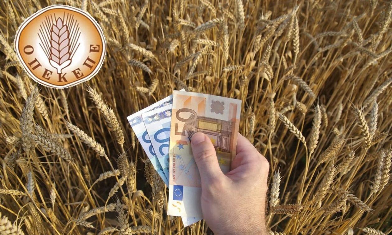ΟΠΕΚΕΠΕ: Μεγάλη πληρωμή ύψους 608 εκατ. ευρώ σε σχεδόν 460.000 δικαιούχους – Αναλυτικοί πίνακες