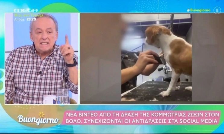 Πρωτοφανές ξέσπασμα Μικρούτσικου για την pet groomer στον Βόλο: «Εγώ θα την μηνύσω»!