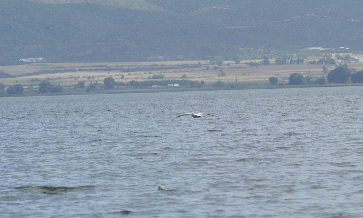 Νεκρός 60χρονος ψαράς στη λίμνη Βόλβη
