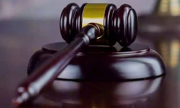 Θεσσαλονίκη: Στη φυλακή ο 35χρονος που υλοτομούσε παράνομα στο δάσος της Αρέθουσας