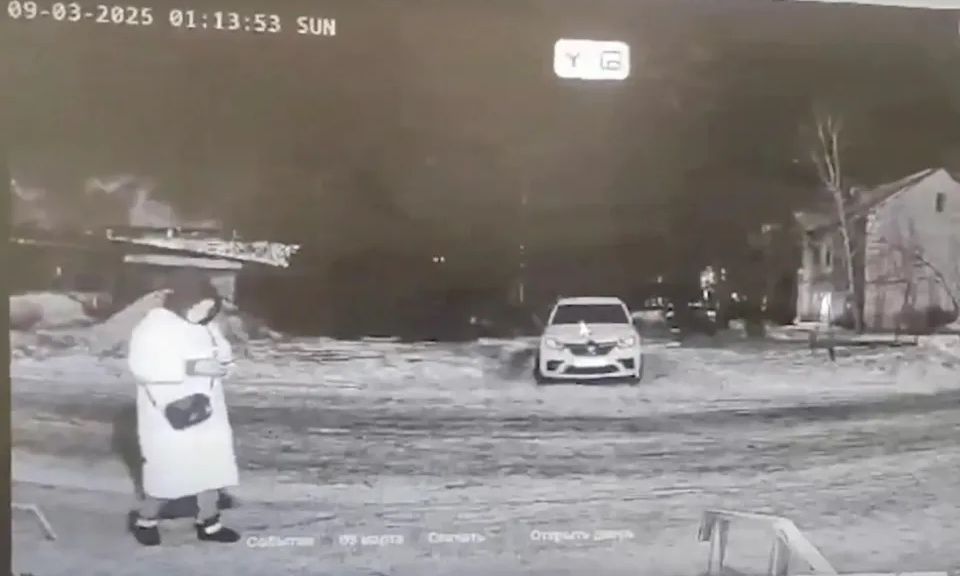 Ρωσία: Αρκούδα κατασπάραξε γυναίκα: Έμεινε μόνο το κεφάλι, στοιχειώνουν οι τελευταίες στιγμές της