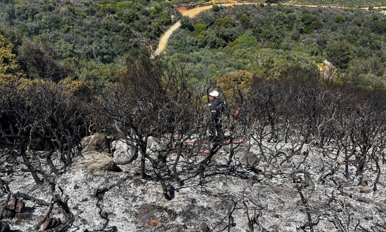 Υπό πλήρη έλεγχο η φωτιά στα Βελανίδια – Άμεση κινητοποίηση της Πυροσβεστικής