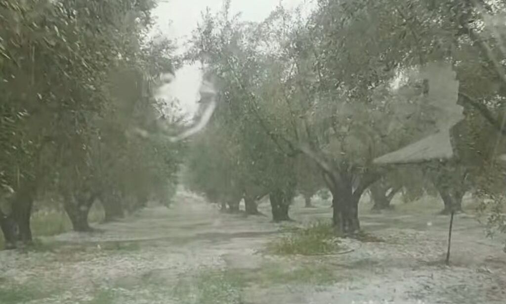 Αιτωλοακαρνανία: Δυνατό χαλάζι στο Αγρίνιο – Πρωτοφανείς εικόνες στη Σταμνά, καταστροφές σε καλλιέργ