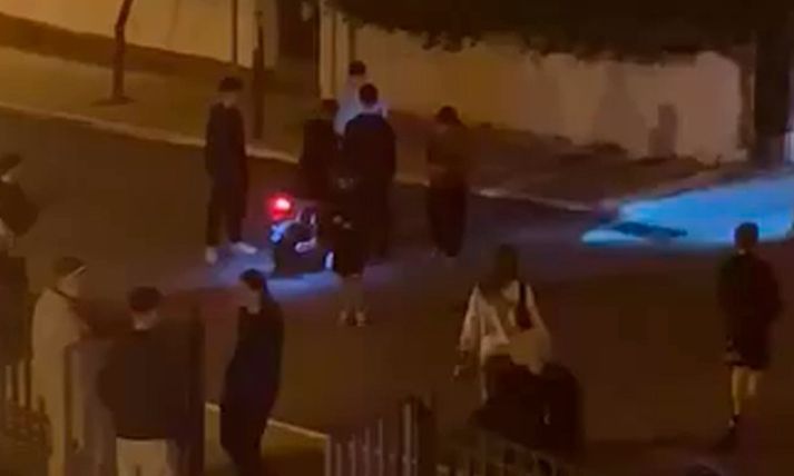Πόρος: «Καταδικάζω το περιστατικό, δεν είναι οργανωμένη συμμορία», λέει ο δήμαρχος