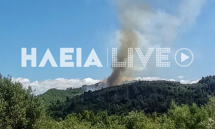 Φωτιά σε δασική έκταση στα Καλυβάκια Κρεστένων