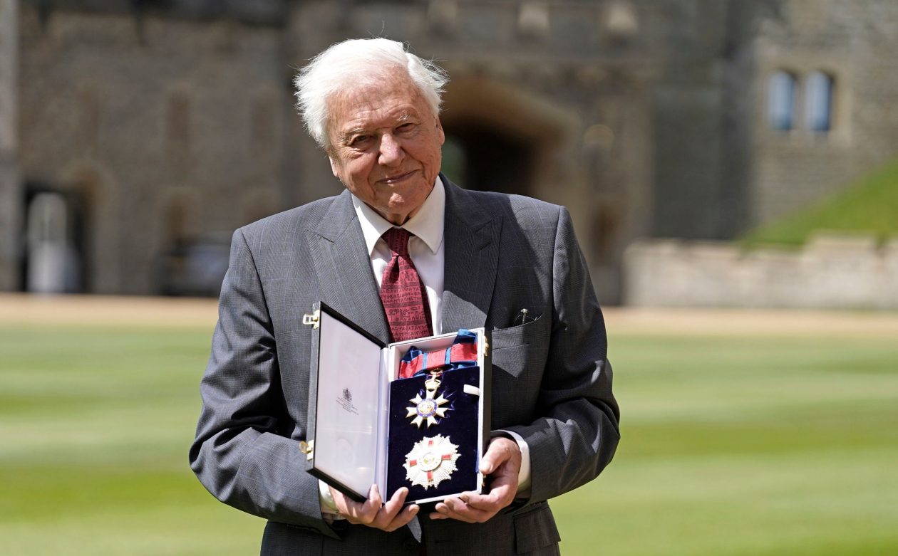 David Attenborough: Επιστρέφει στα 99 του με νέο ντοκιμαντέρ κατά της βιομηχανικής αλιείας