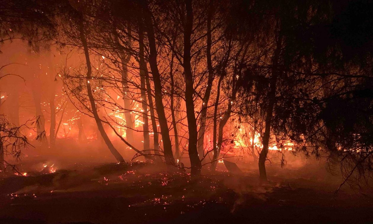 SOS από τις περιβαλλοντικές οργανώσεις για την αντιπυρική περίοδο
