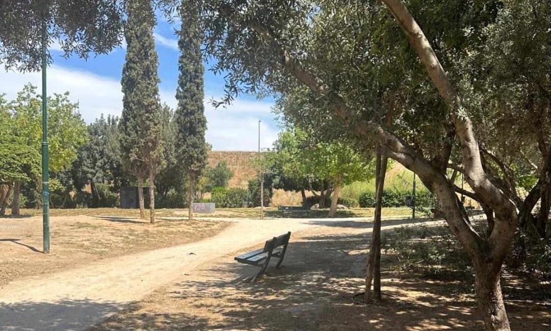 Μπακογιάννης εναντίον Δήμου Αθηναίων: Η κατάσταση του πρασίνου είναι, δυστυχώς, απογοητευτική