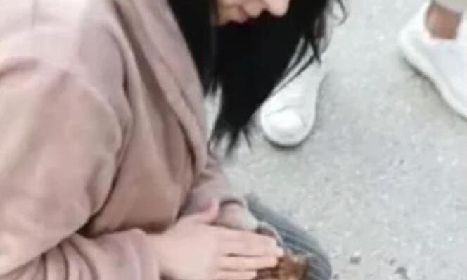 Θεσσαλονίκη: 21χρονη νοσηλεύτρια επαναφέρει στη ζωή γατάκι που είχε πέσει σε φρεάτιο
