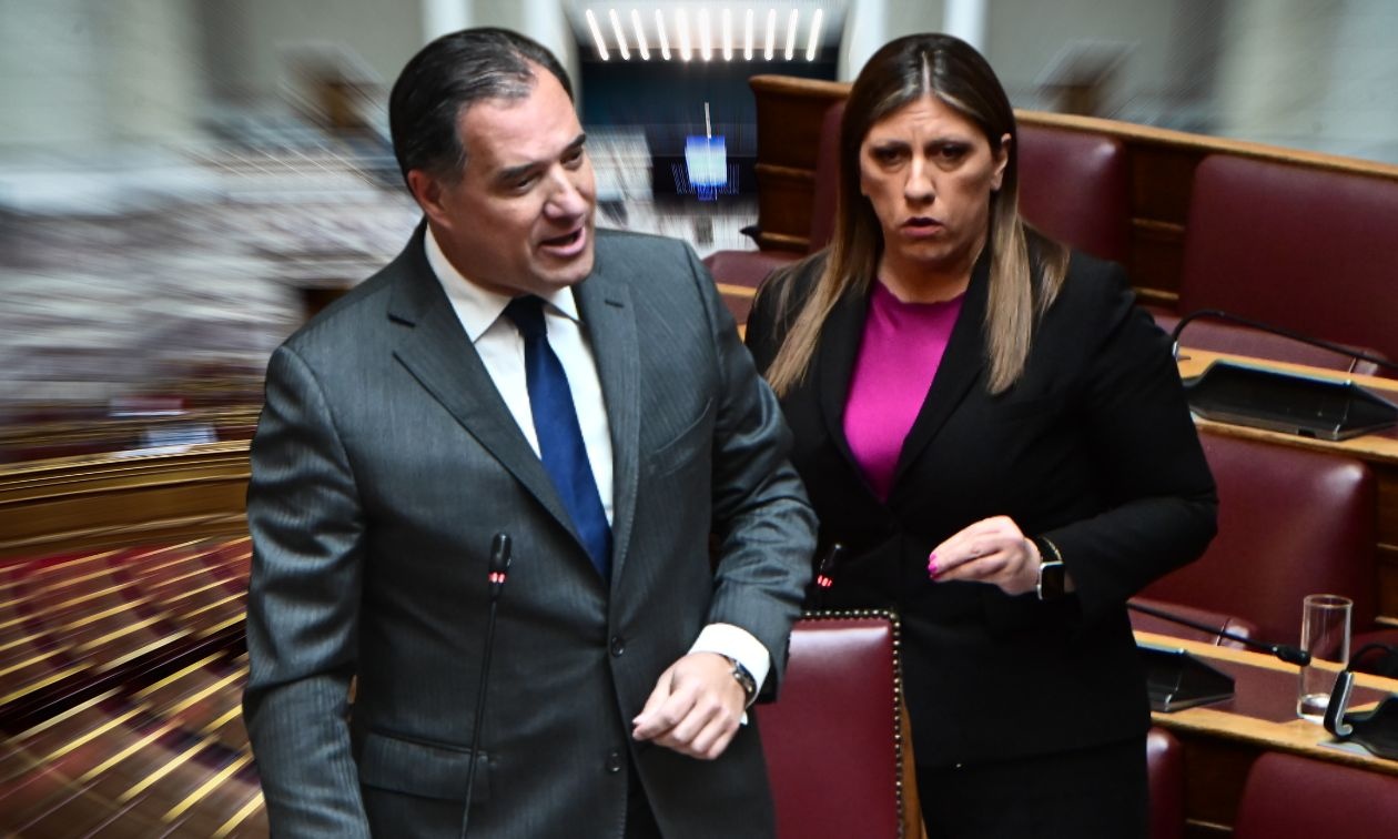 Πυρά Γεωργιάδη προς την Κωνσταντοπούλου: Τη σιχάθηκα όταν την άκουσα να βρίζει τον μηχανοδηγό