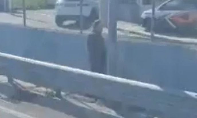 Απίστευτο: Οδηγός σταμάτησε στη μέση του δρόμου για να ουρήσει – Δείτε το βίντεο