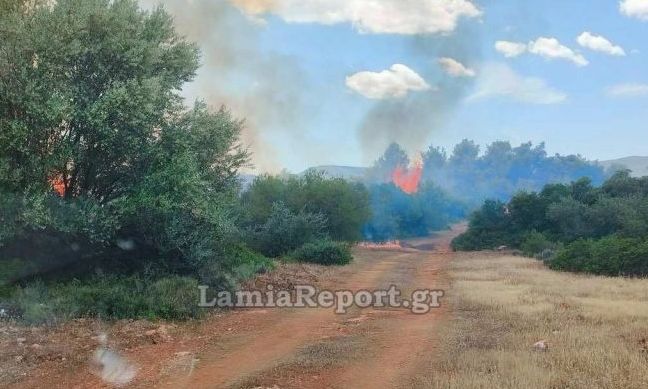 Φωτιά στη Ριτσώνα: Σύλληψη και πρόστιμο 2.250 ευρώ 