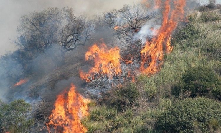 Φωτιά τώρα: Πυρκαγιά σε δασική έκταση στα Μέθανα – Στη μάχη με τις φλόγες και εναέρια μέσα