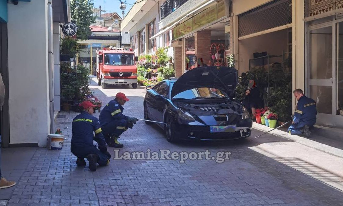 Αναστάτωση στο κέντρο της Λαμίας: Οδηγός εντόπισε φίδι στο αυτοκίνητό του