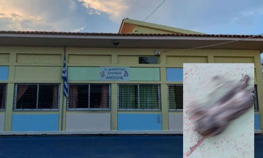 ΑΔΕΔΥ: Τετράωρη στάση εργασίας την Πέμπτη για τα δημοτικά, τα γυμνάσια και τα λύκεια