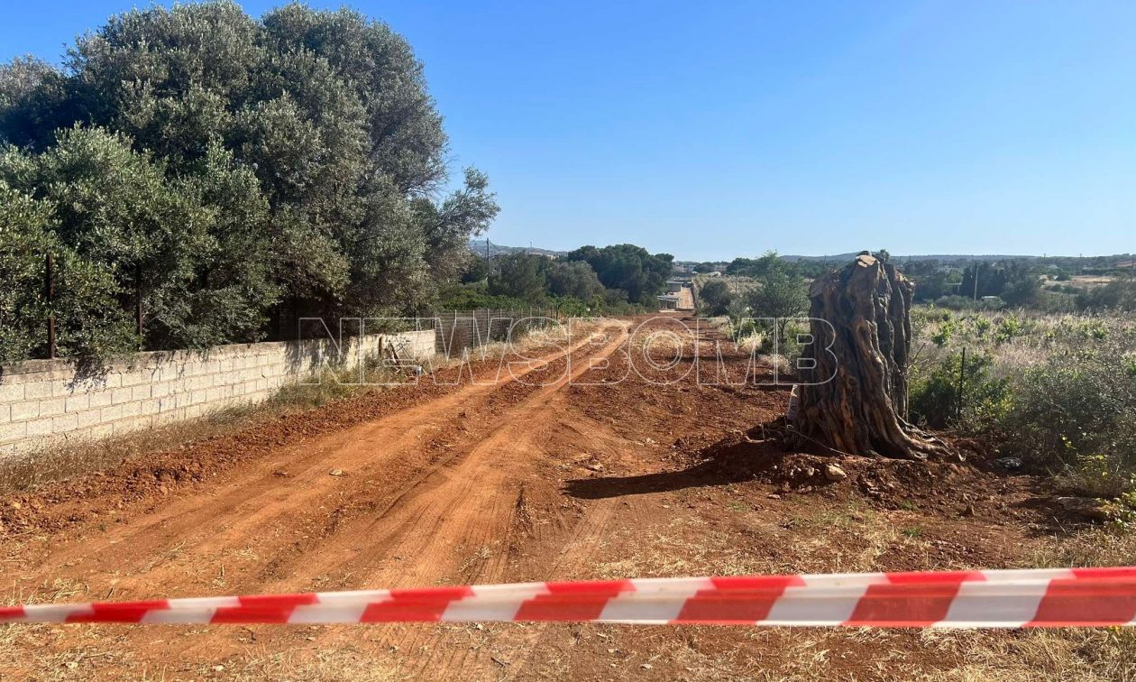 Αρτέμιδα: Νεκρός Αλβανός από πυροβολισμό στο πρόσωπο – Αποκάλυψε τον δολοφόνο στη γυναίκα του