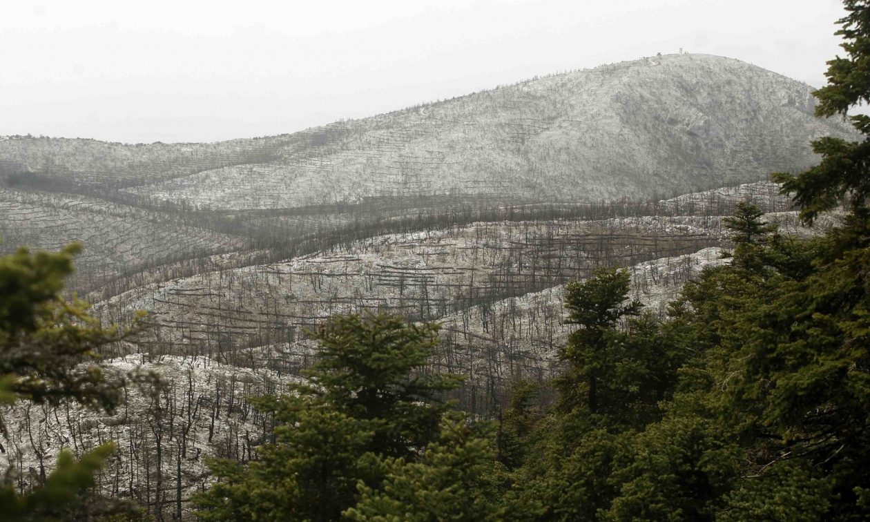 Πάρνηθα: Αίσιο τέλος για τη γυναίκα που χάθηκε ενώ έκανε πεζοπορία