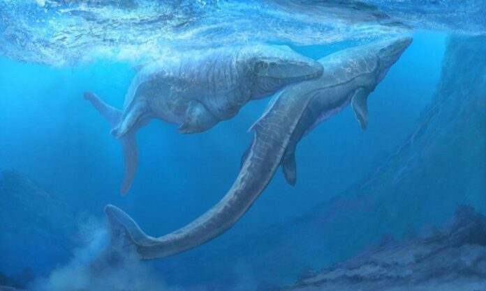 1652515-cdee05c3-mosasaurus-hoffmannii.jpg