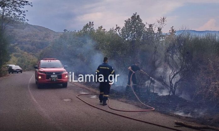 1653963-29215176-fotia-lamia.jpg