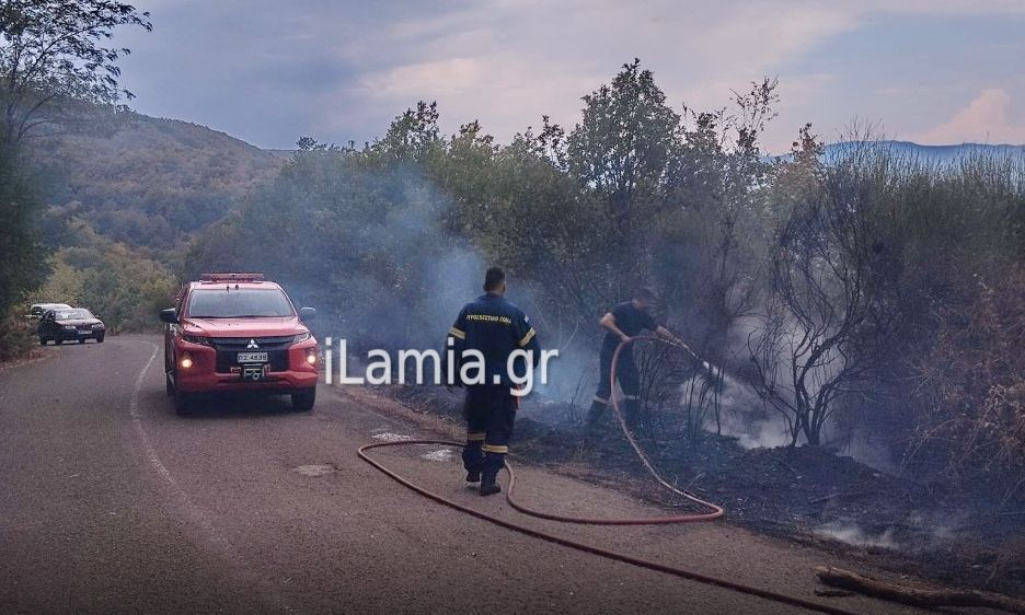 Φωτιά στη Φθιώτιδα – Επιχειρούν και εναέρια μέσα