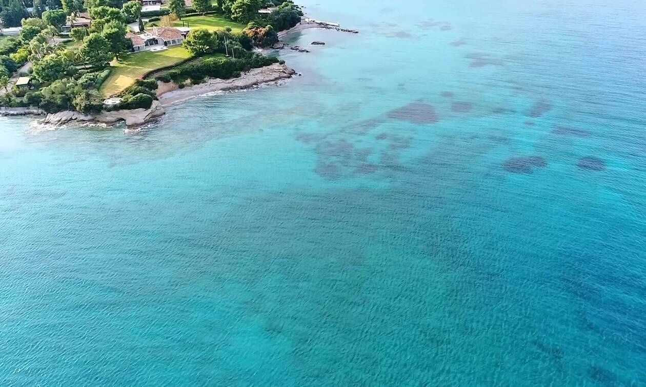 Επιτέλους, ίσως καταφέρουμε να εξαλείψουμε τα κουνούπια από τον κόσμο – Πρέπει να το κάνουμε;