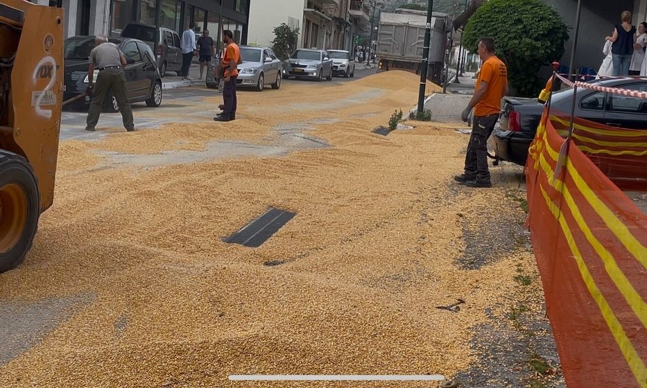 Απίστευτες εικόνες στην Αμφιλοχία: Ο κεντρικός δρόμος της πόλης «πλημμύρισε» από… καλαμπόκι